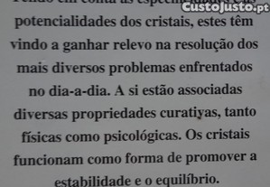 imagem_8