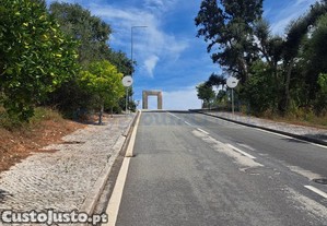 imagem_8