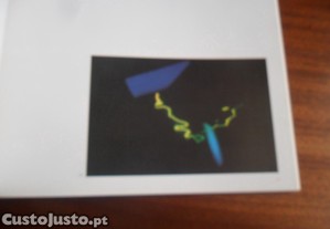 imagem_7