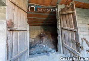 imagem_11