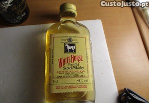 imagem_1