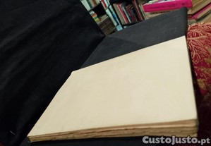imagem_6