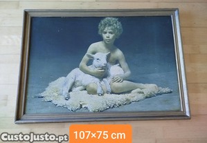 imagem_8