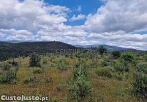 Terreno de 12250m em Portimo - Oportunidade nica!