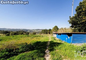 imagem_10