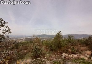 Terreno Florestal Sito Em Guimarei!