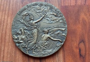 Medalha "V Centenário da Morte de Camões"
