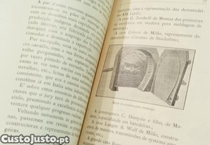 imagem_11