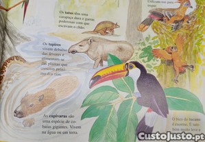 imagem_5