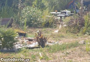imagem_2