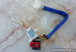 imagem_1
