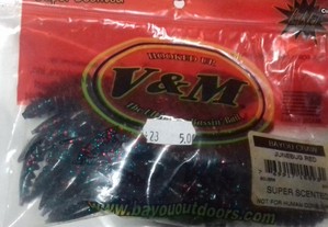 imagem_4