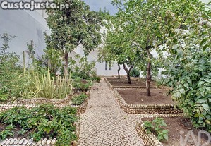 imagem_23