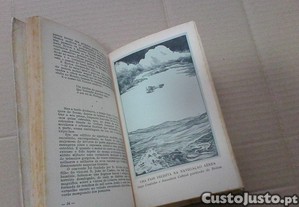 imagem_4