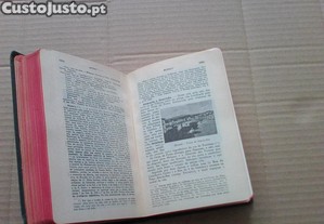 imagem_6