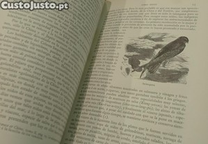 imagem_10