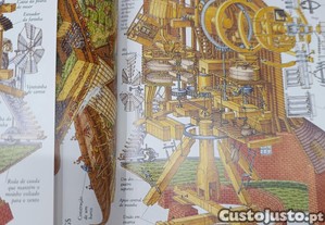 imagem_5