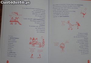 imagem_6