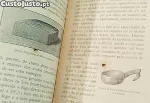 imagem_4