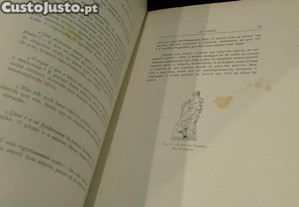imagem_8