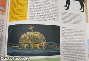 imagem_5