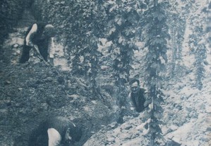 imagem_8
