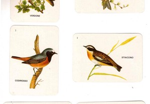 Coleção completa e numerada de 2 calendários sobre Aves 1993