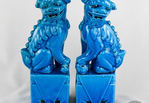 Par de Cães de Foo, porcelana da China, azul-turquesa