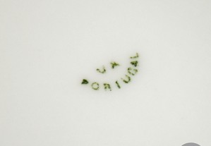 imagem_9