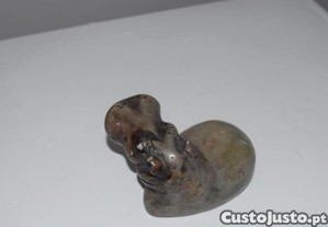 imagem_4