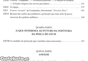 imagem_7