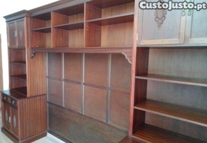 imagem_5