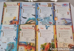 imagem_5