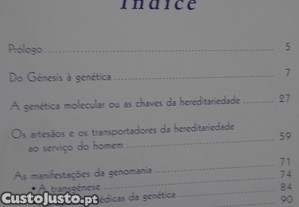 imagem_7