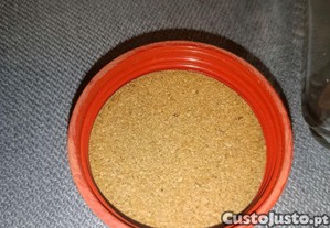 imagem_7