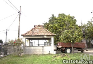 imagem_16
