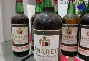 imagem_1