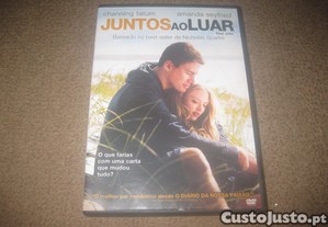 imagem_1