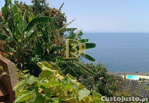 imagem_28