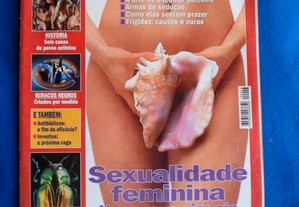 imagem_6