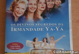 imagem_1