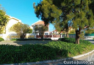 imagem_32