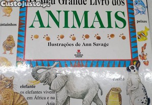 imagem_1