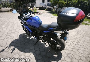 imagem_3