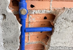 imagem_8