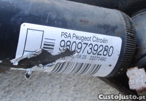 imagem_6