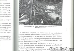 imagem_8