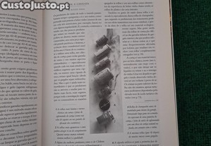 imagem_5