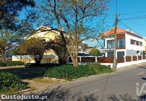 imagem_31