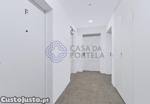 imagem_15